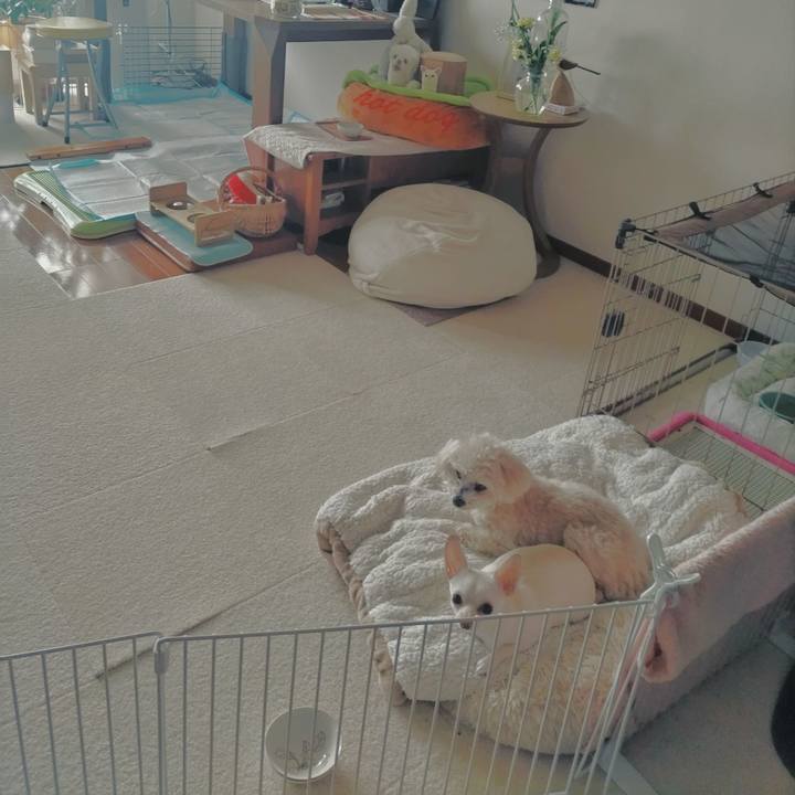 9ff70254 1743 429f aee3 58de54c998d1 1712382672942