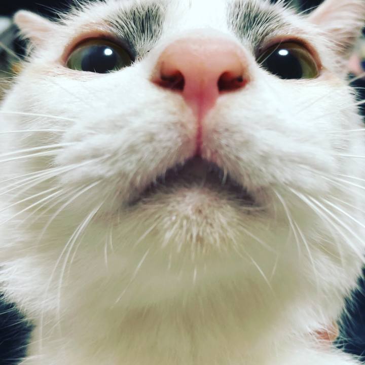 9ff70895 c651 42e1 9d9a 19fa7493f3b9 1510139917172