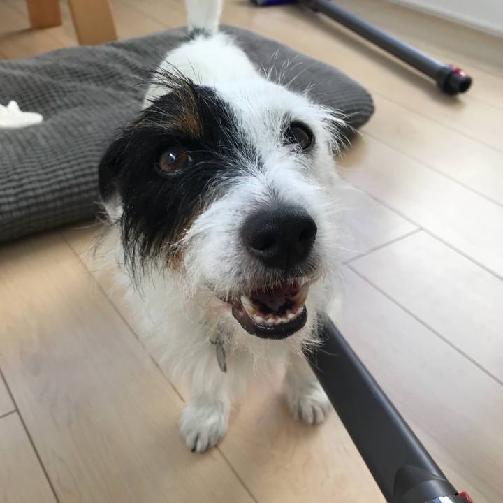 9ff73092 055d 4422 a3df ed1ccff90813 1535330532792