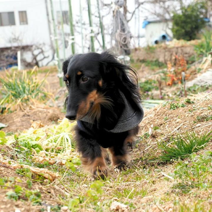 9ff736bc f52c 43f5 b574 575c854fecc6 1550207767646