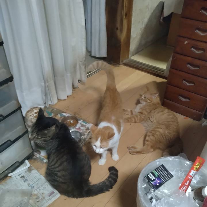 9ff73f27 8846 48dc 9e9f 369485c692f7 1757408918534