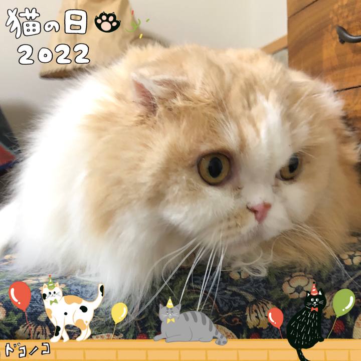 9ff76b21 0848 4e9b 96cb 752732af6e45 1645525551768