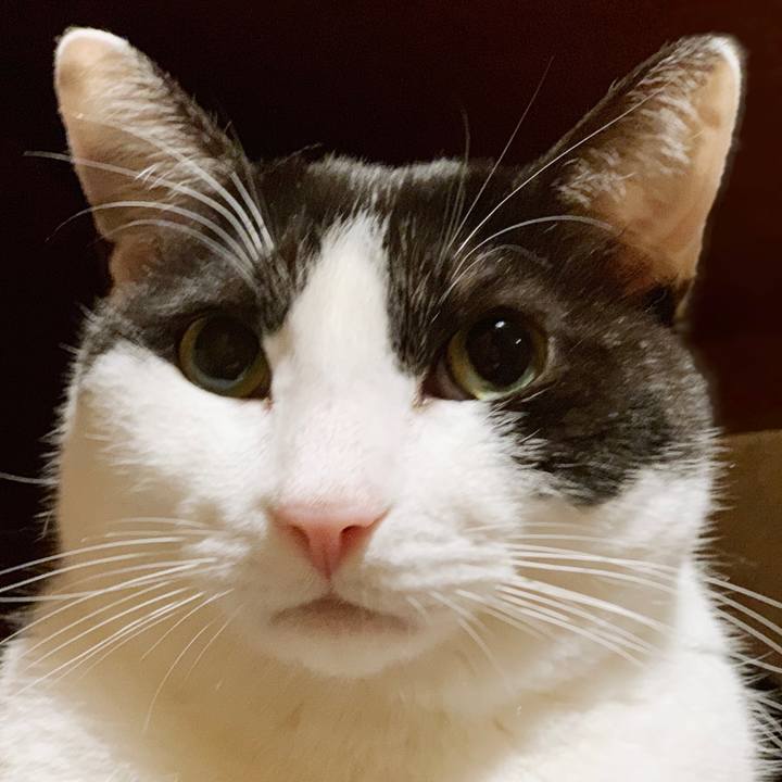 9ff78fd6 a21b 41b9 94b8 13dc687351e5 1553910019614