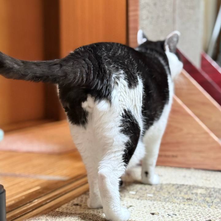 9ff7a95c de2d 4ca6 a3c7 b98133d0deb0 1762131480897