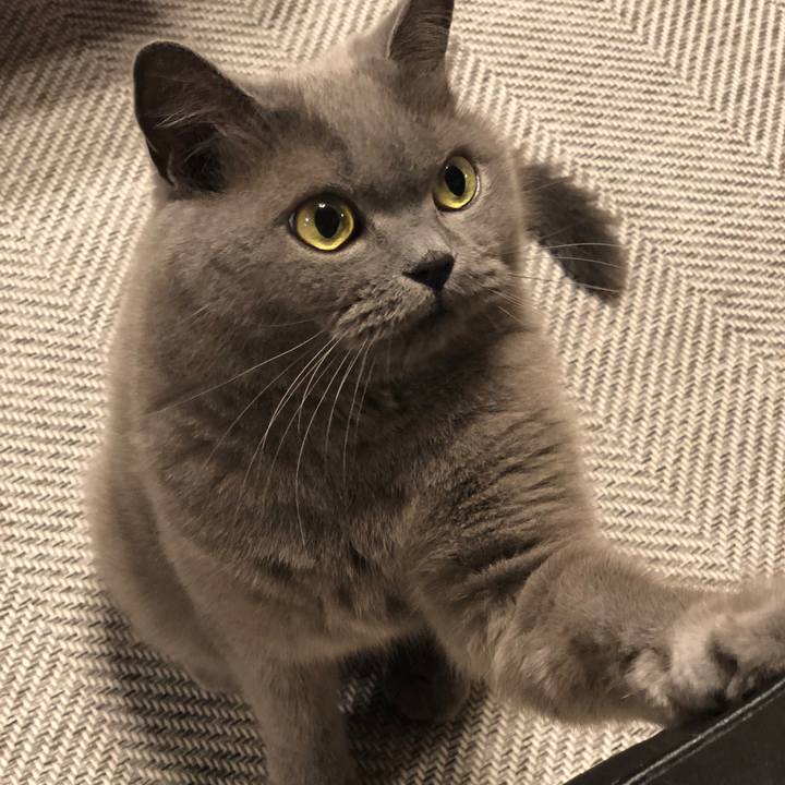 9ff80346 5fe4 4c8e 9127 e20b30421f65 1565005316697