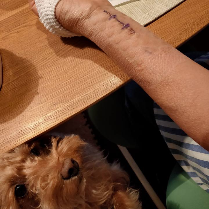 9ff827e8 31c3 4f6d 8013 a50f4b7129d2 1611094327386