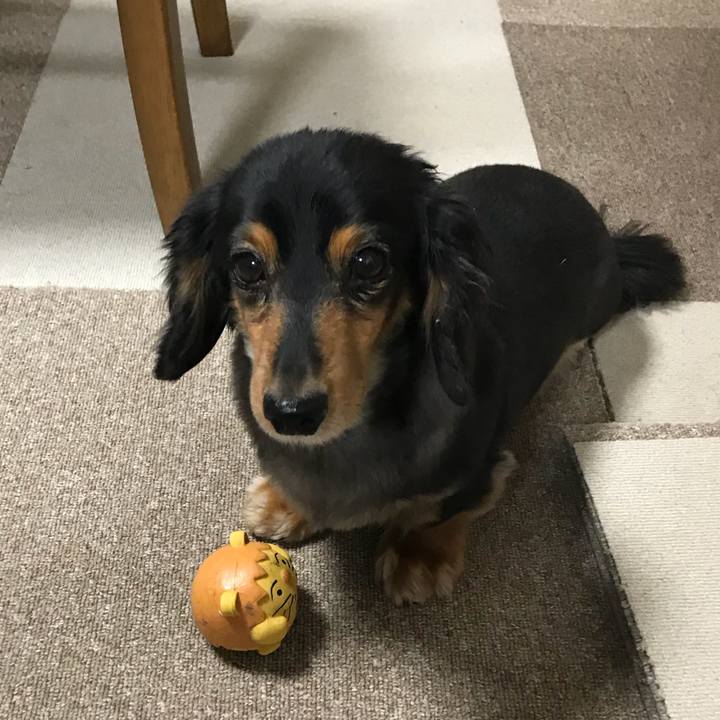 9ff84a5c 358e 443f ae69 d4f8675c57d4 1525813664113