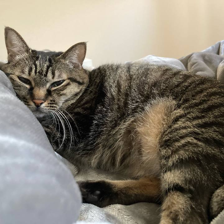 9ff8749e 7523 41d0 b27d a490810671b0 1603959019452