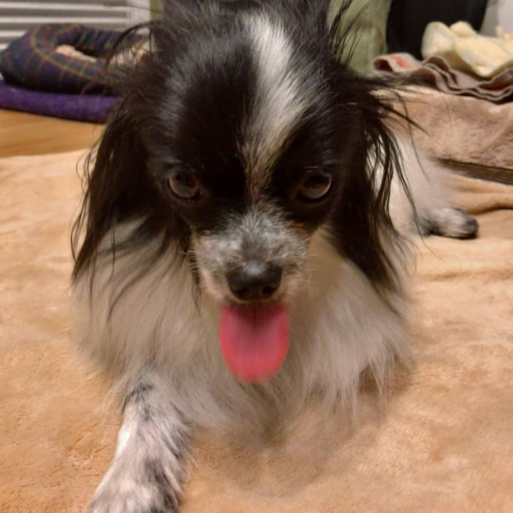 9ff8ab3b 1ee0 4ec3 8a9f 1a8d7e45dd66 1539697613212