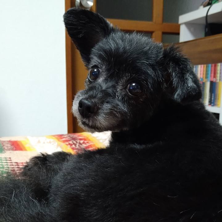 9ff8b79f 8abe 4462 b079 f0b526f9fe60 1659881456577