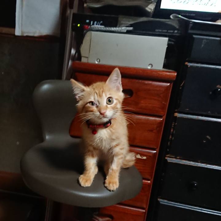 9ff8b996 28a9 4ccb 81b6 c3e7d963d35a 1629577964932