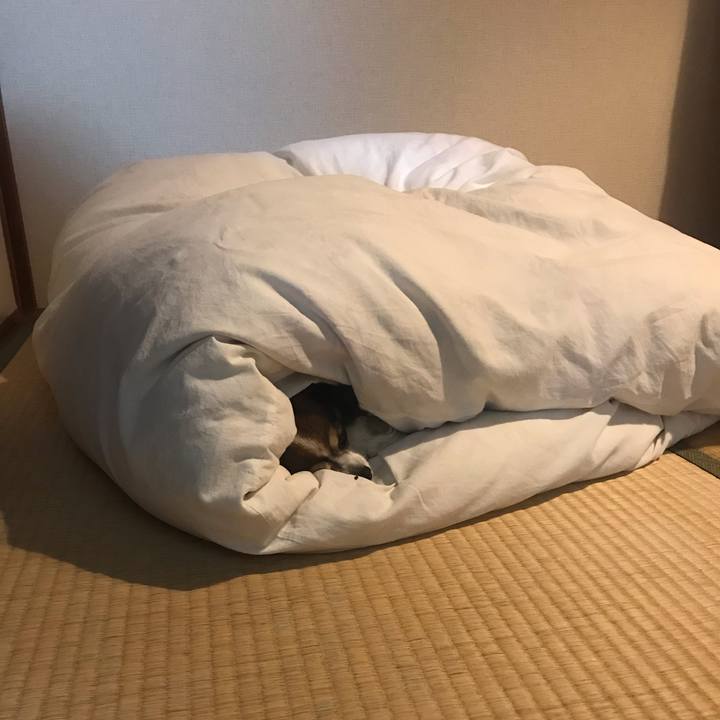 9ff94495 07bb 4e6d 959d a1b2f10dc8bb 1650027177562