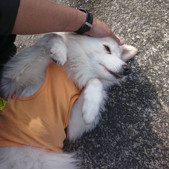 9ff9553d 2752 4ff9 99db 10e081000855 1549941830098