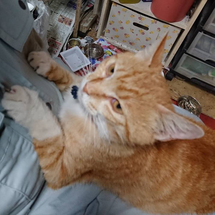 9ff95f86 efa1 4c6b 9da7 ebdde37fb8c7 1559771546217