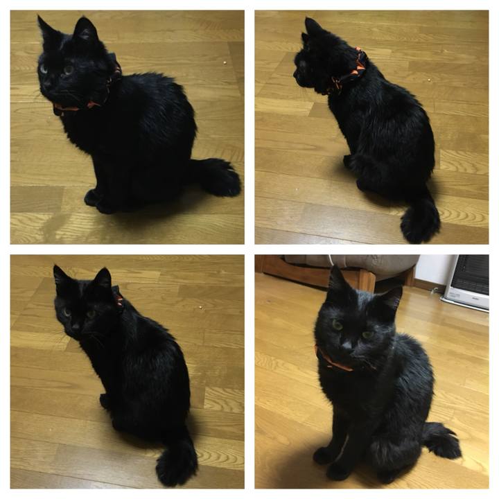 9ff9808c e1f2 493d 8fca fd8a30e01752 1538399994248