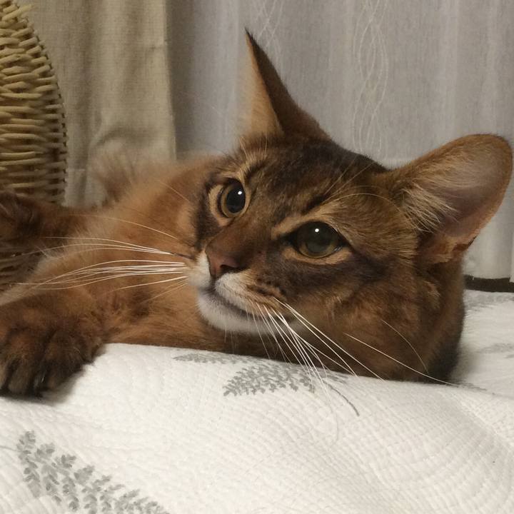 9ff991ba 90eb 4413 aa9e 4b493f229413 1611056757653