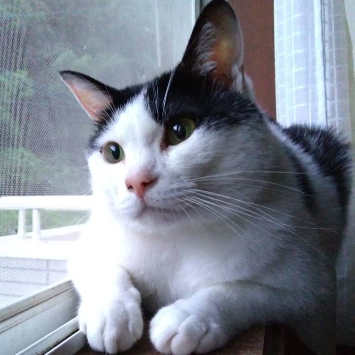 9ff9cb42 a86b 49f6 9130 1f07724a5543 1530183159943