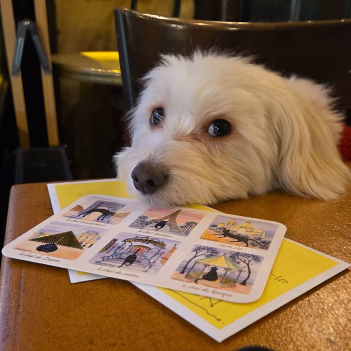 9ff9dfdb b902 4fb3 9cb1 be829c8721b2 1771177049875