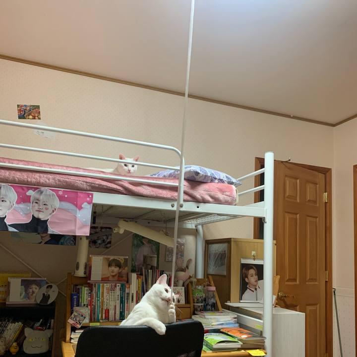 9ffa22b3 6548 4de4 a228 fc418b7ffe70 1584997851924