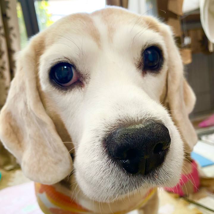 9ffa3578 80d7 412c 80ca e07dc520aa11 1643601223811