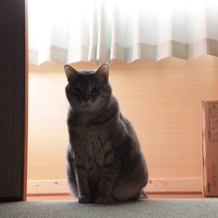 9ffa36da 6270 4211 9d01 55963eec5790 1682146249089