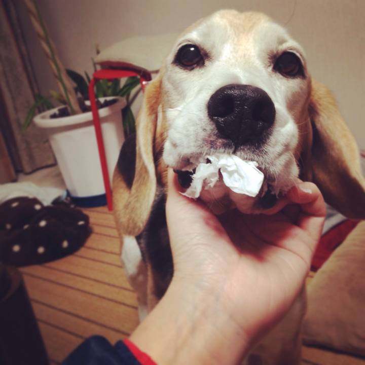 9ffa3833 cd9f 445d 8949 0f4ebe864058 1513350867785