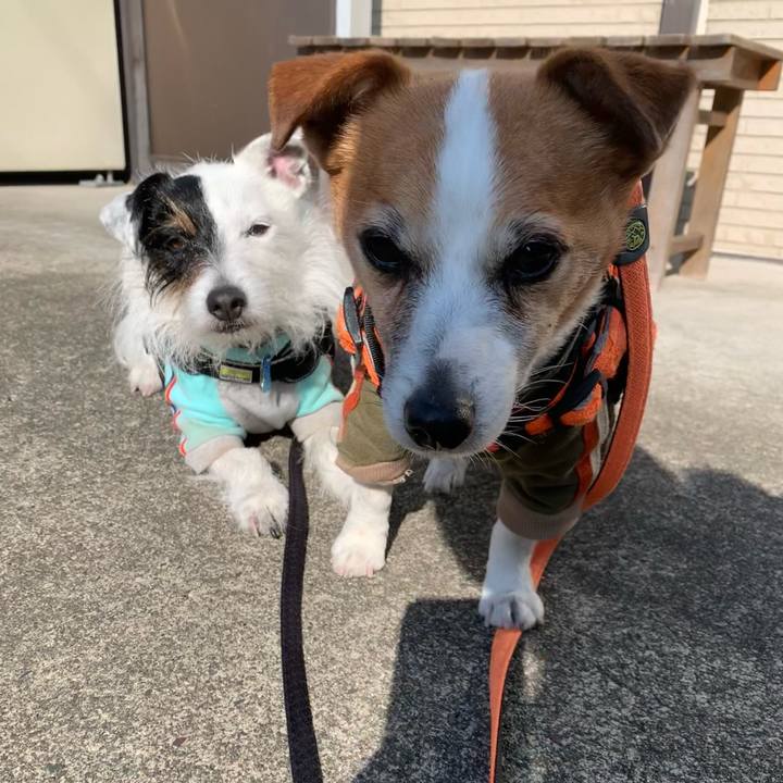 9ffa48cb b2b1 4a0d 9089 2a0c57928235 1645922136971