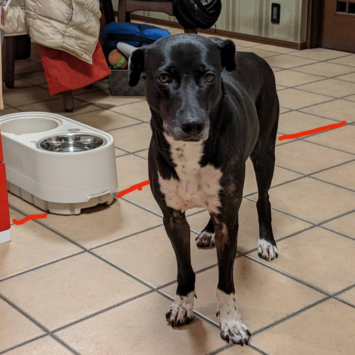 9ffa5513 cd61 4a7e b724 24d27e9eb8c0 1642503999683