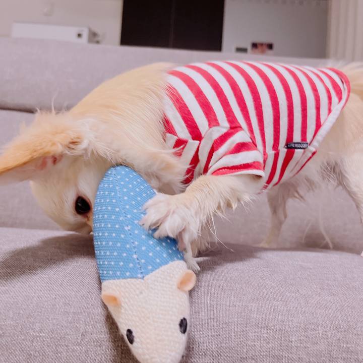 9ffa59c2 56b1 4e9f 8871 4df8a41cbf74 1679123746625