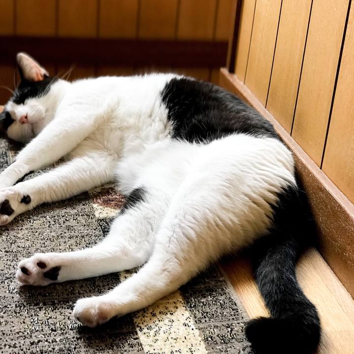 9ffa769e 1579 4587 a892 3af9d5c7ad13 1532355814627