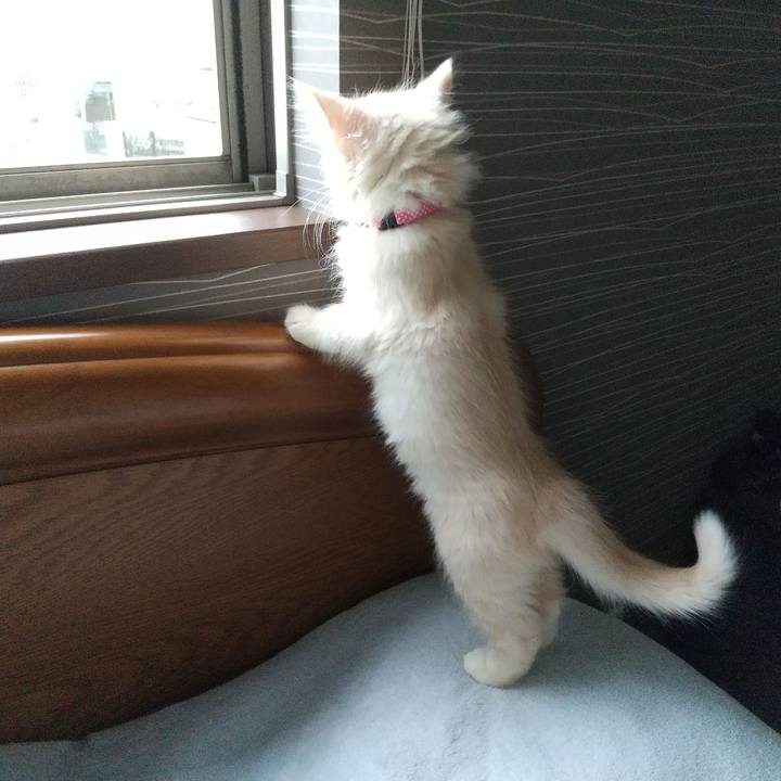 9ffb08dc a3f0 4348 8a9a c97ee55e2983 1603494390509