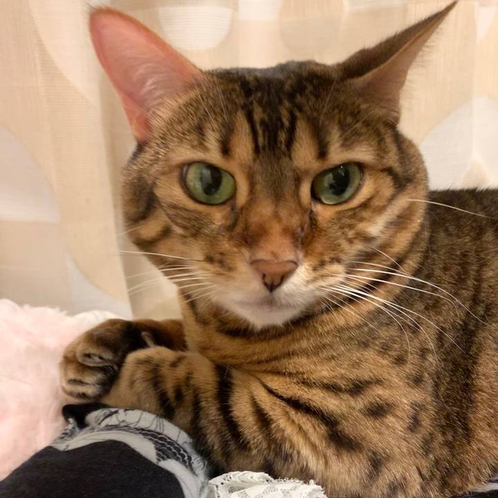 9ffb09bb 9e6b 470d a1f1 bd89989a5cdc 1603673374528