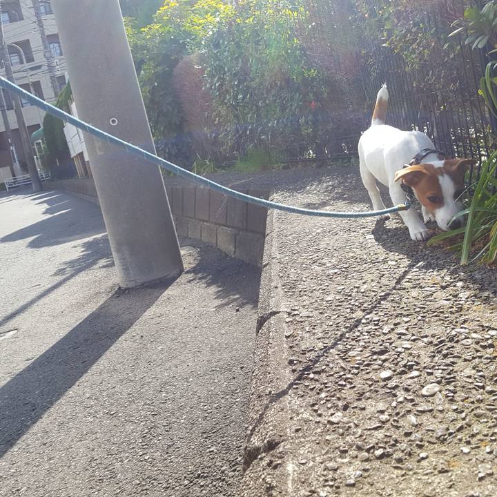 9ffb0be7 4337 4ff6 a726 3a90c6a54fcc 1553061744845