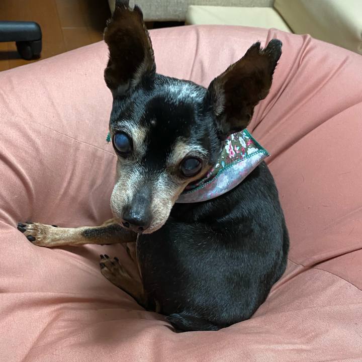 9ffb0dea b3f1 4917 b4ff e5a44f427f5d 1579554788869