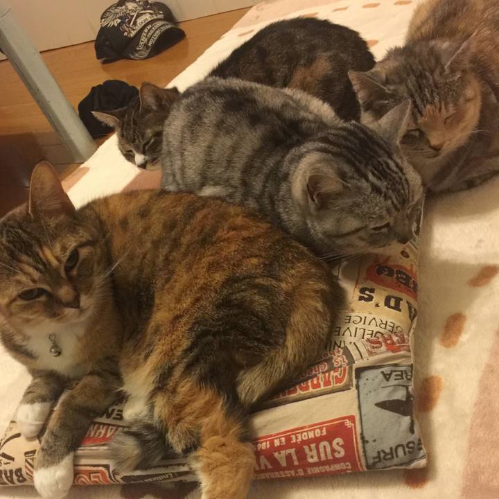 9ffb5e49 37f1 4819 a865 ea375b885ea8 1553273345433