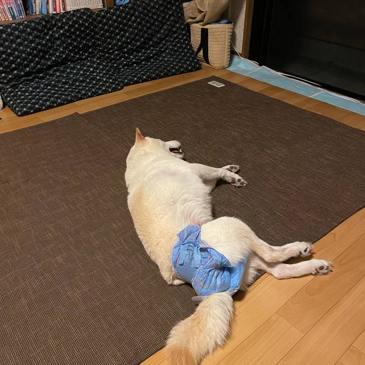 9ffb7f4d 3ddd 4847 bd45 95a0ba8077ab 1661694833776