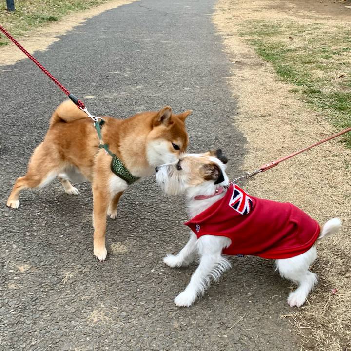 9ffb927d fef1 4c25 86a6 0d441ed6ead0 1678021487283