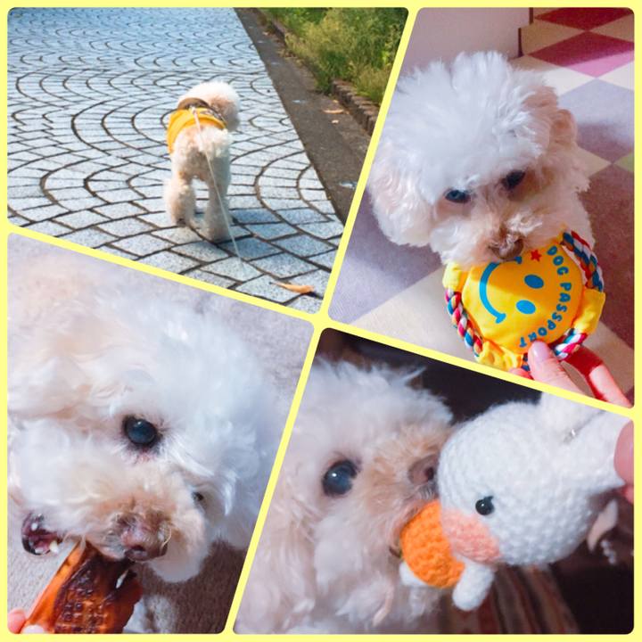 9ffba791 dc7d 4fe8 bc11 221f0deb758b 1528719779072