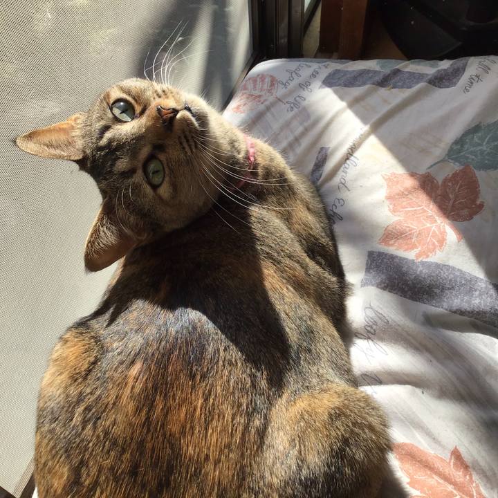 9ffbb38f ecaa 46e4 a5ce 3ed5699a050a 1615336559651