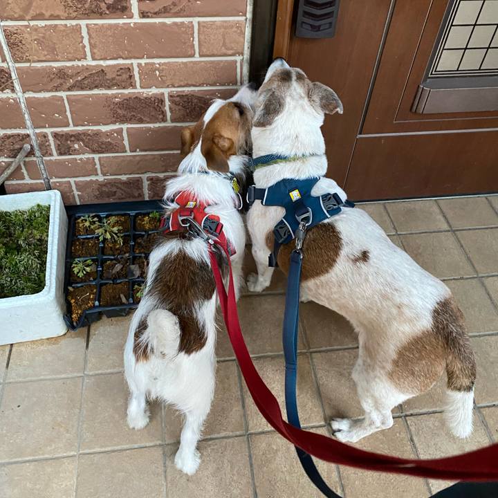 9ffc2714 e590 4029 8ab2 d08c966f2da8 1676934418452