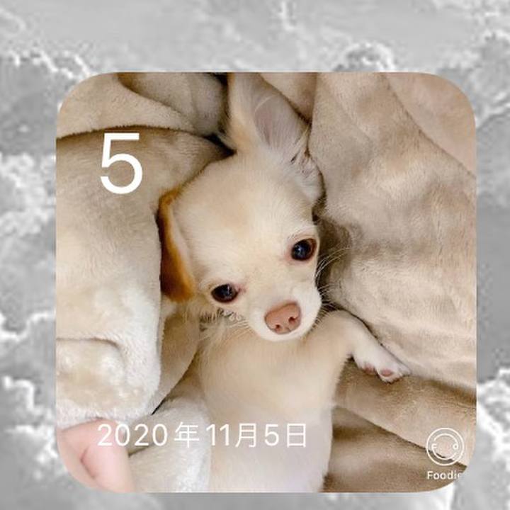 9ffc3493 8677 468f 8b60 66a34d9af314 1636064495502