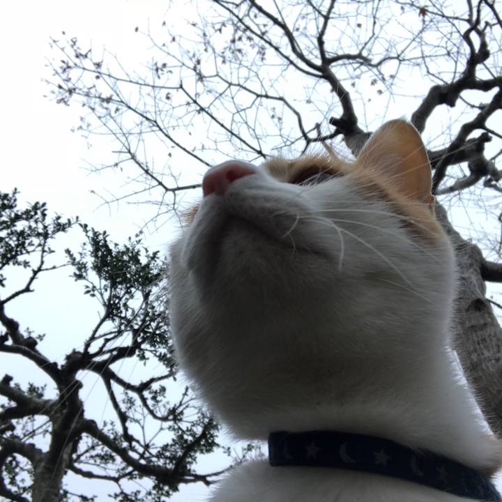 9ffc34ce 41a9 46c5 bb43 926c434f33f7 1511482412401