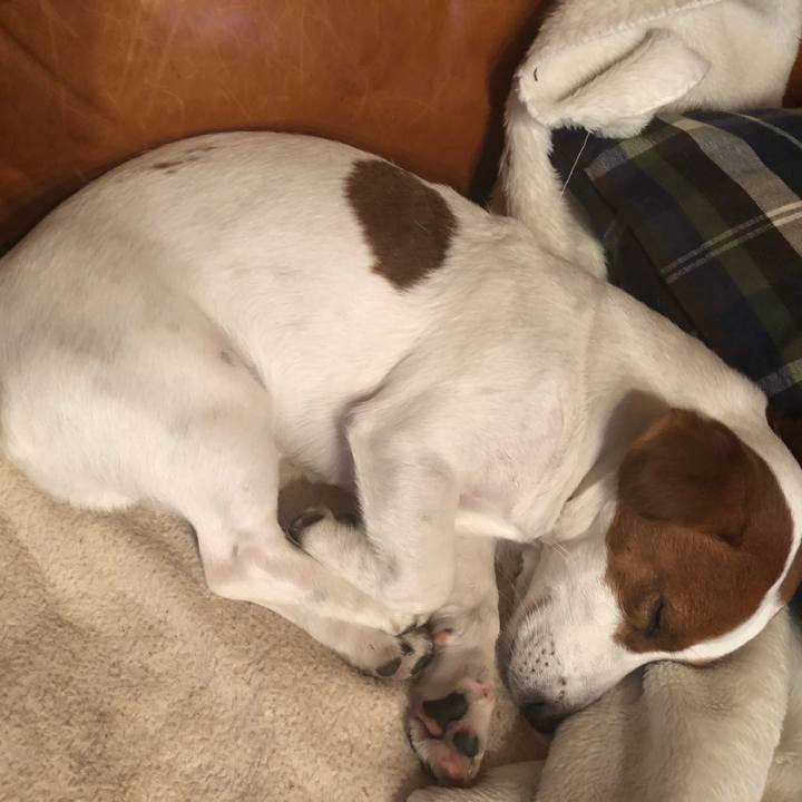 9ffc6f04 af3e 4e44 a7ac 2f67ab4007a2 1555586006424