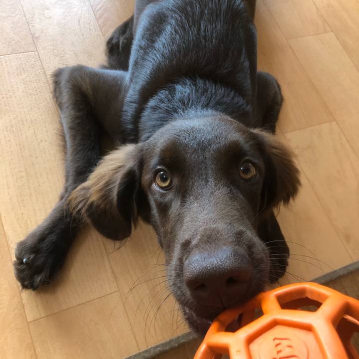 9ffc94e0 e24e 4cf6 931b 391e97315362 1564114102243