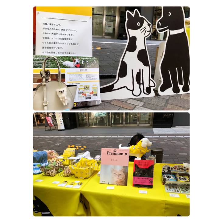 9ffcbdb4 113f 4019 85f6 044fc1b54336 1555734023719