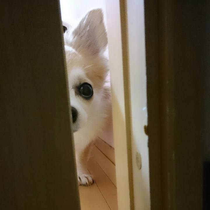 9ffce65c ff62 4b63 8a68 94a443f81a5b 1509977312221