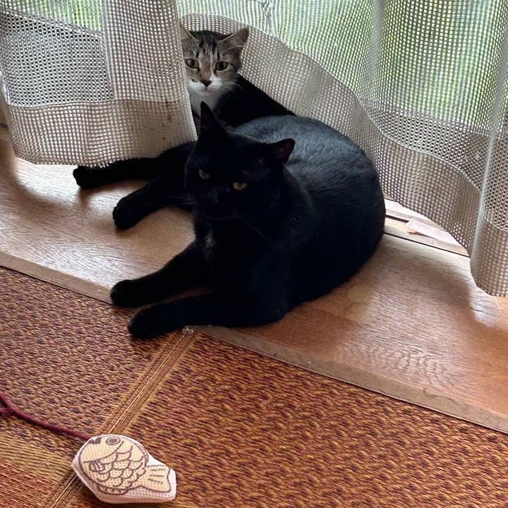 9ffcee9e 6dac 4054 9f79 171a479137c5 1726702654782