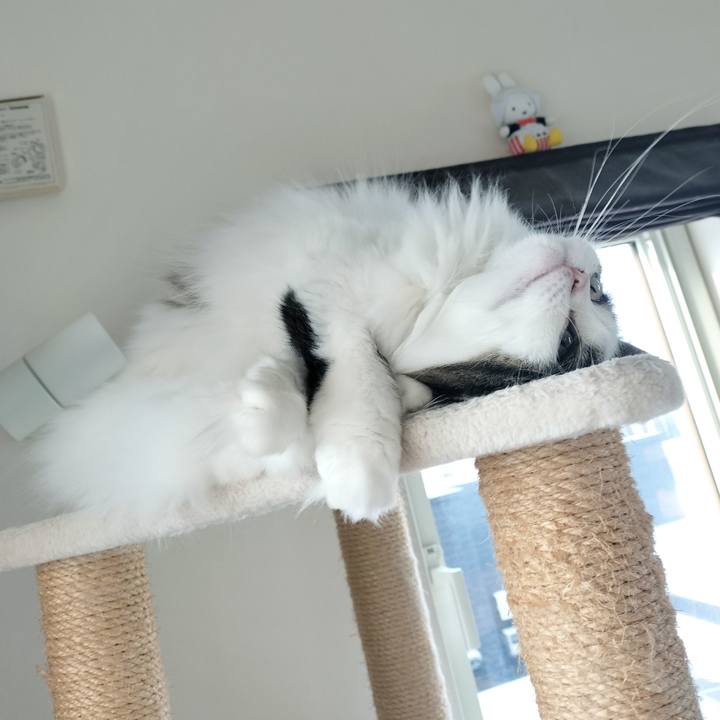 9ffcf7d3 b38e 4c27 8634 04073c537b6f 1773632813806