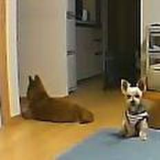 9ffd107e c7ae 43a9 b7b0 3e32b8b8a600 1539942000419