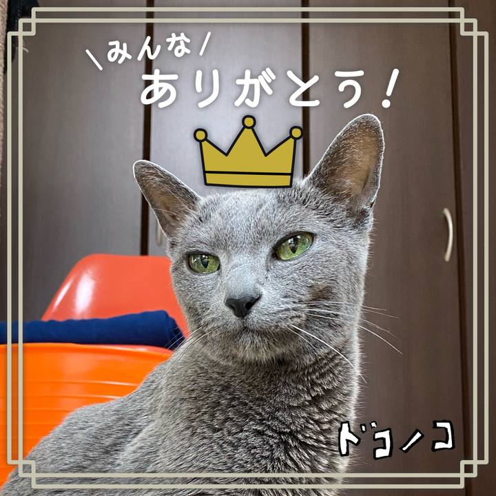 9ffd127a f9f3 44ed a0c8 87a9199f29d5 1622861842413